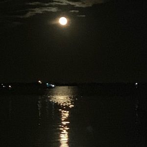 Meet your Posher, Katarzyna